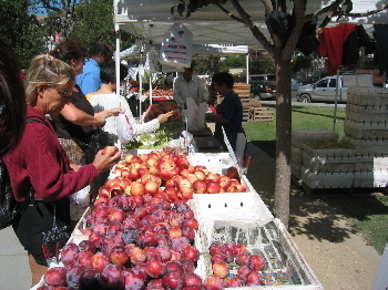 Sacramento Farmer's Market - Sacramento Photo (1198090) - Fanpop