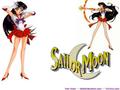 Sailor Moon 13 - sailor-moon wallpaper