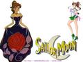 Sailor Moon 13 - sailor-moon wallpaper