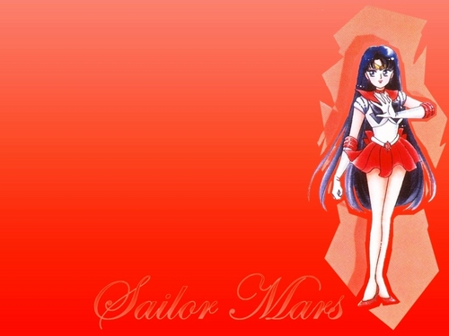  Sailor Moon 14