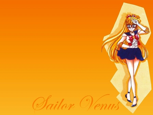  Sailor Moon 15