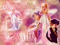 sailor-moon - Sailor Moon 15 wallpaper