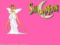 Sailor Moon 19 - sailor-moon wallpaper