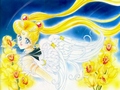 sailor-moon - Sailor Moon 21 wallpaper