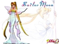 sailor-moon - Sailor Moon 23 wallpaper
