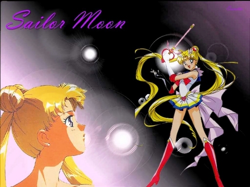  Sailor Moon 23