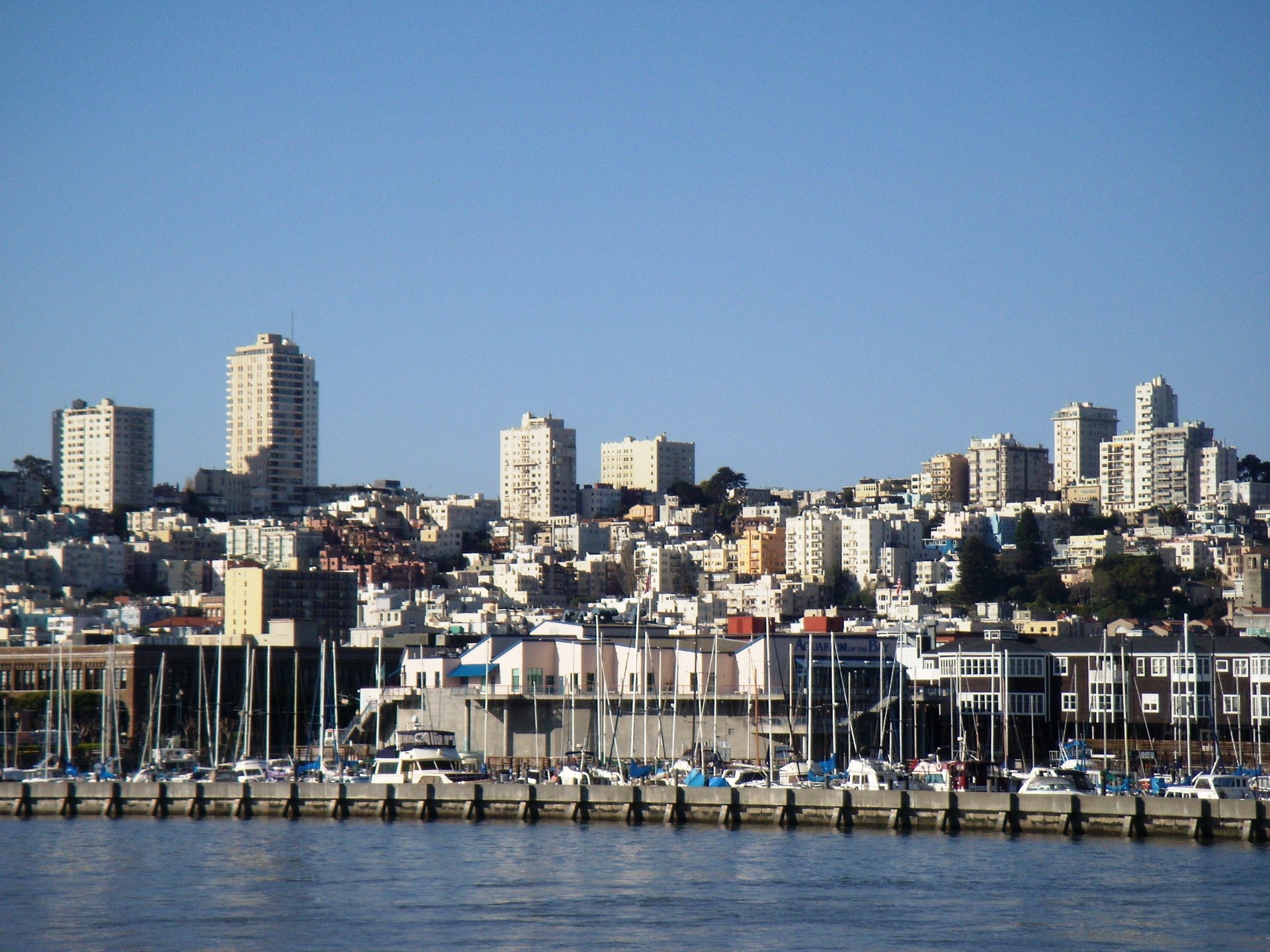 San Francisco - San Francisco Photo (962385) - Fanpop