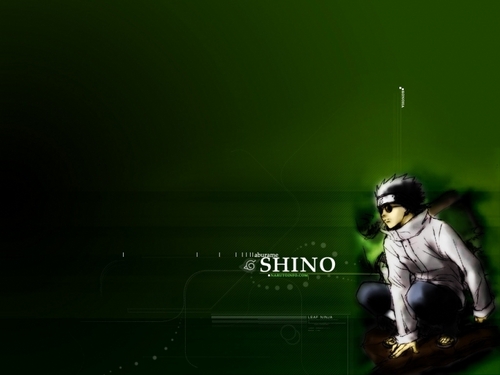  Shino