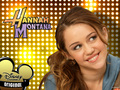 hannah-montana - Smiley Miley wallpaper