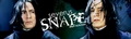 Snape - severus-snape fan art