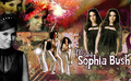 Sophia Bush  - sophia-bush fan art