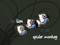 SpiderMonkey<3 - twilight-series wallpaper