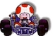 Super Mario Kart Characters - mario-kart icon