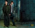 supernatural - Supernatural Boys wallpaper