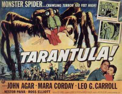 một giống nhện, tarantula