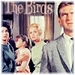 The Birds - alfred-hitchcock icon