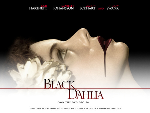 The Black Dahlia