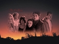 The Cullens - twilight-series wallpaper