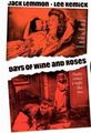 The Days Of Wine And Roses - classic-movies photo