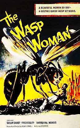  The ong vò vẻ, wasp Woman