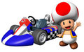 Toad in Mario Kart Wii - mario-kart photo