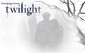 Twilight Movie Website - twilight-series photo