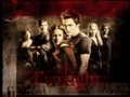 Twilight Movie - twilight-series wallpaper