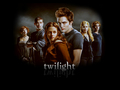 Twilight - twilight-series wallpaper