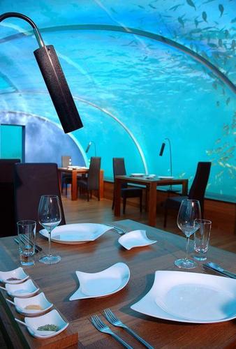  Under Sea Restaurant