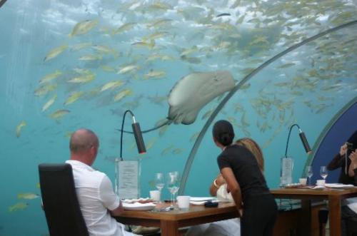  Under Sea Restaurant