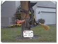 Watch Out For That Tree! - witchcraft photo
