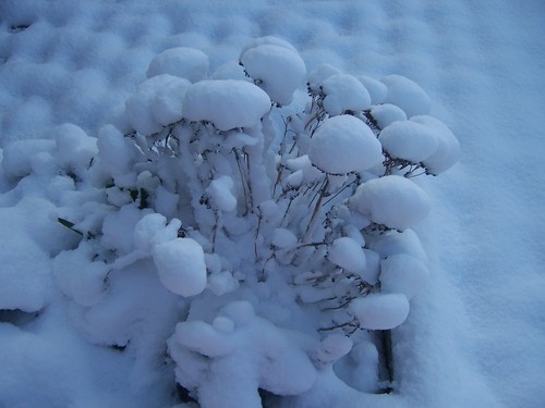  Winter in Sweden