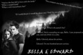 bella and edward love - twilight-series fan art