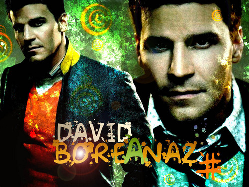 David Boreanaz