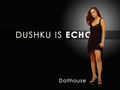 dollhouse - dushku is echo wallpaper