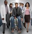 house m.d. - house-md photo