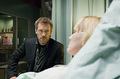 house md - house-md photo