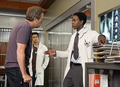 house md - house-md photo