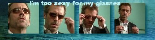  house md_banner