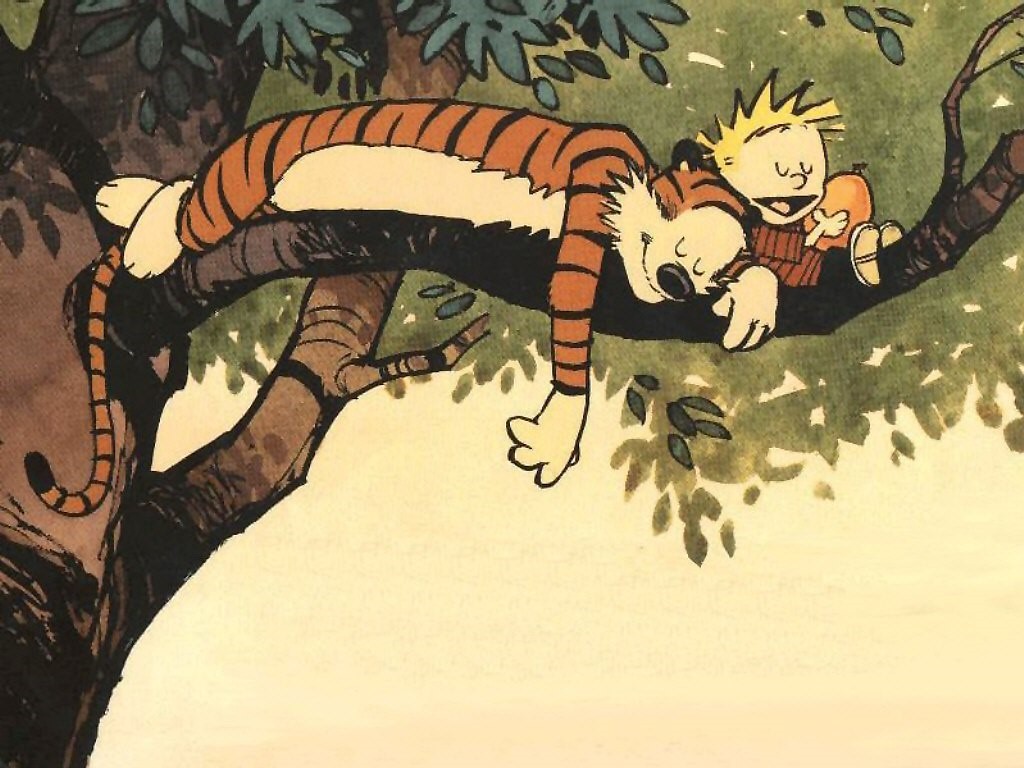 in a different tree - Calvin & Hobbes 1024x768 800x600