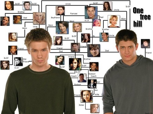  oth connection