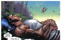 relaxed - wolverine photo