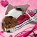 reliii cute doggy icons - dogs icon