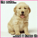 reliii cute doggy icons - dogs icon