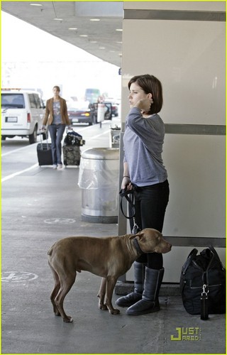  sophia with her pitbull 'patch