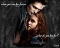 twilight-series - what do you live for wallpaper