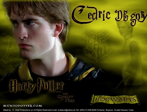  Cedric Diggory