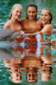 Fun With The Dolphins - h2o-just-add-water photo