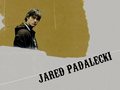 jared-padalecki - Jared wallpaper