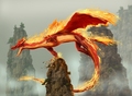 Karo the Firedragon - fantasy photo